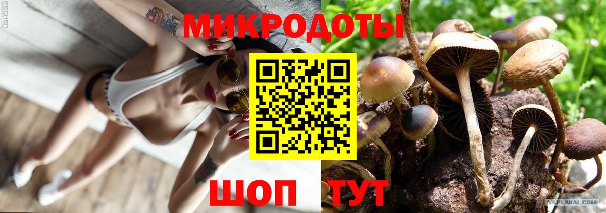Галлюциногенные грибы Psilocybe  Вход с VPN  Изобильный 